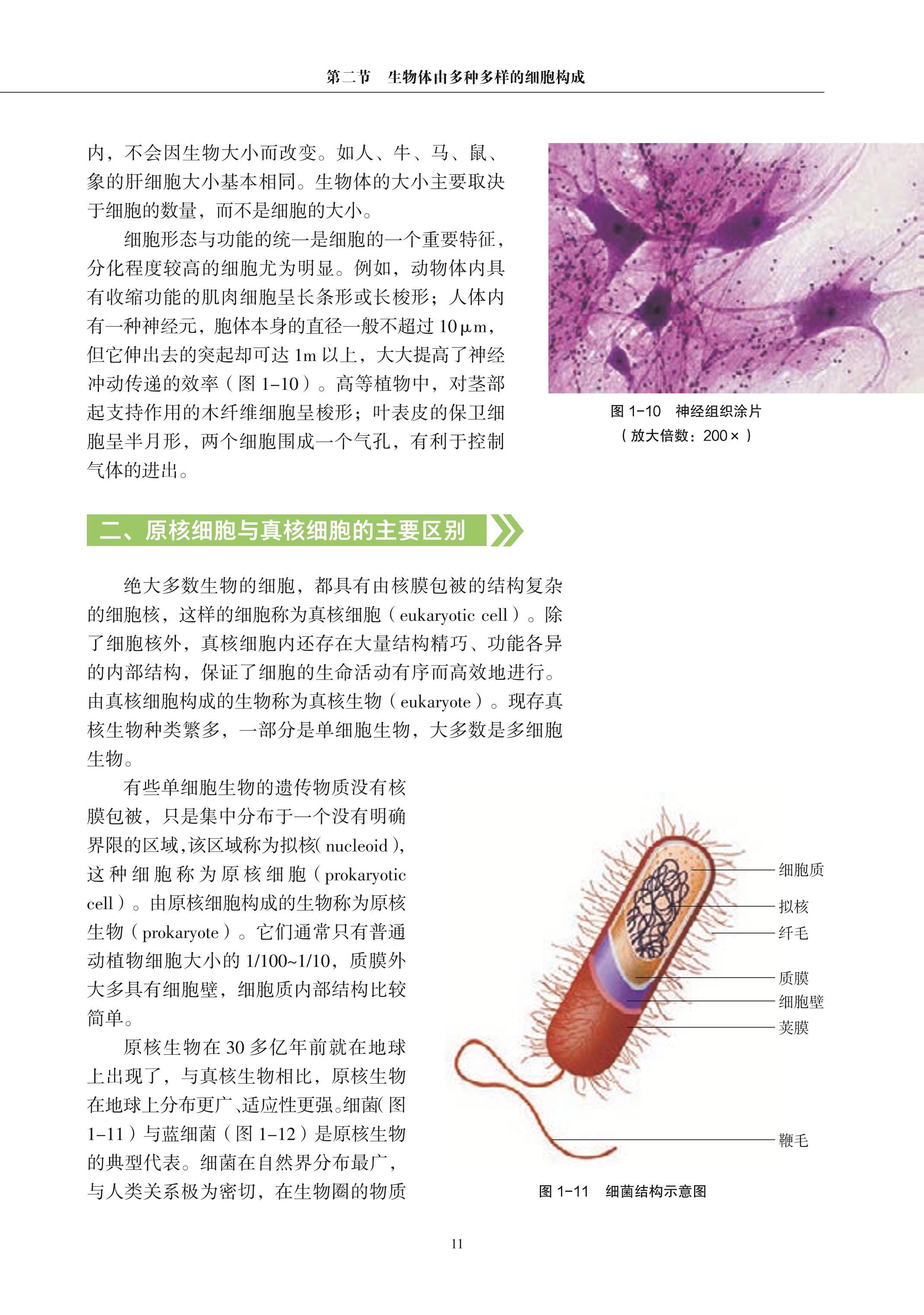 普通高中教科书·生物学必修1 分子与细胞（沪科教版）PDF高清文档下载