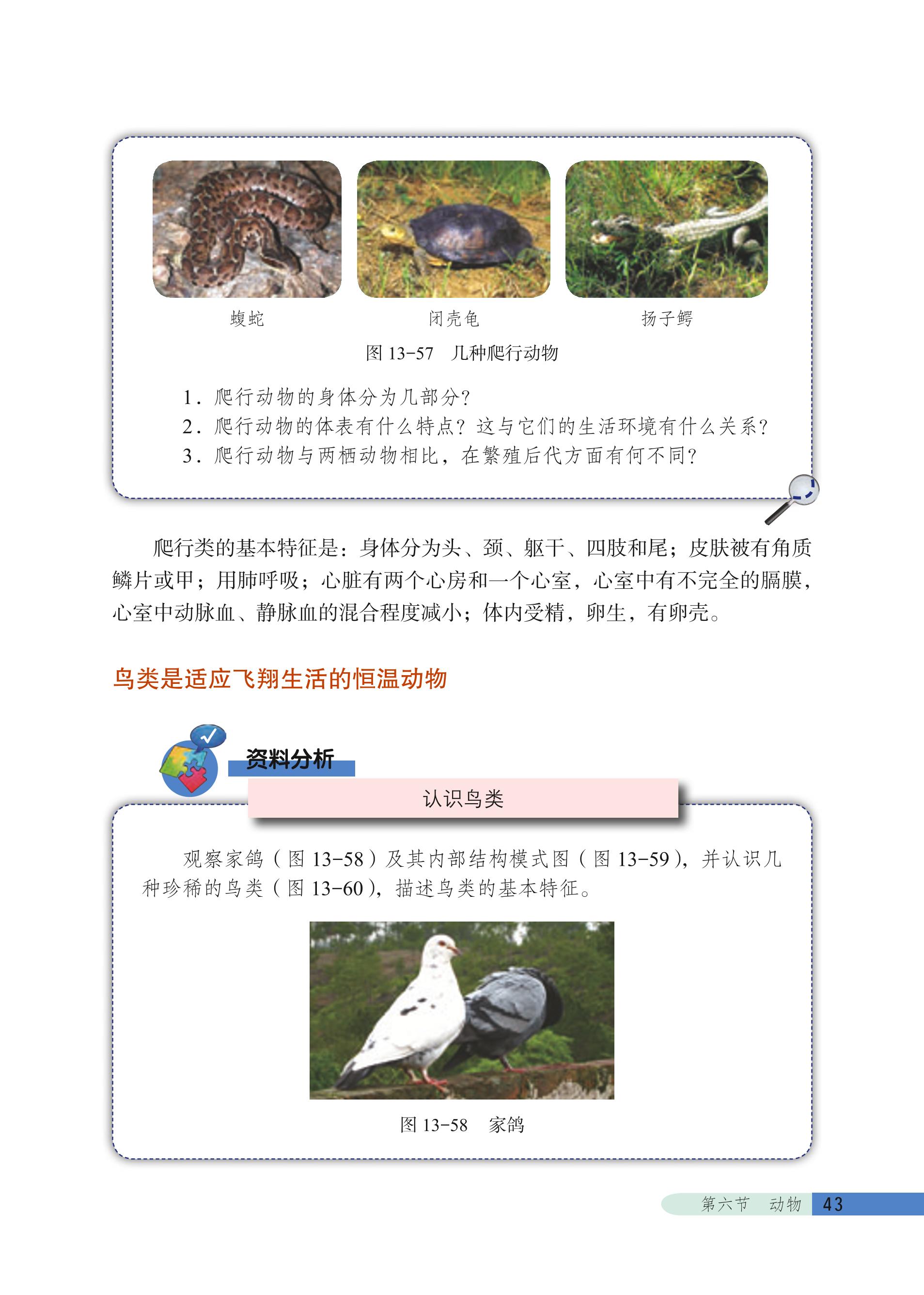 义务教育教科书·生物学八年级下册（北京版）PDF高清文档下载