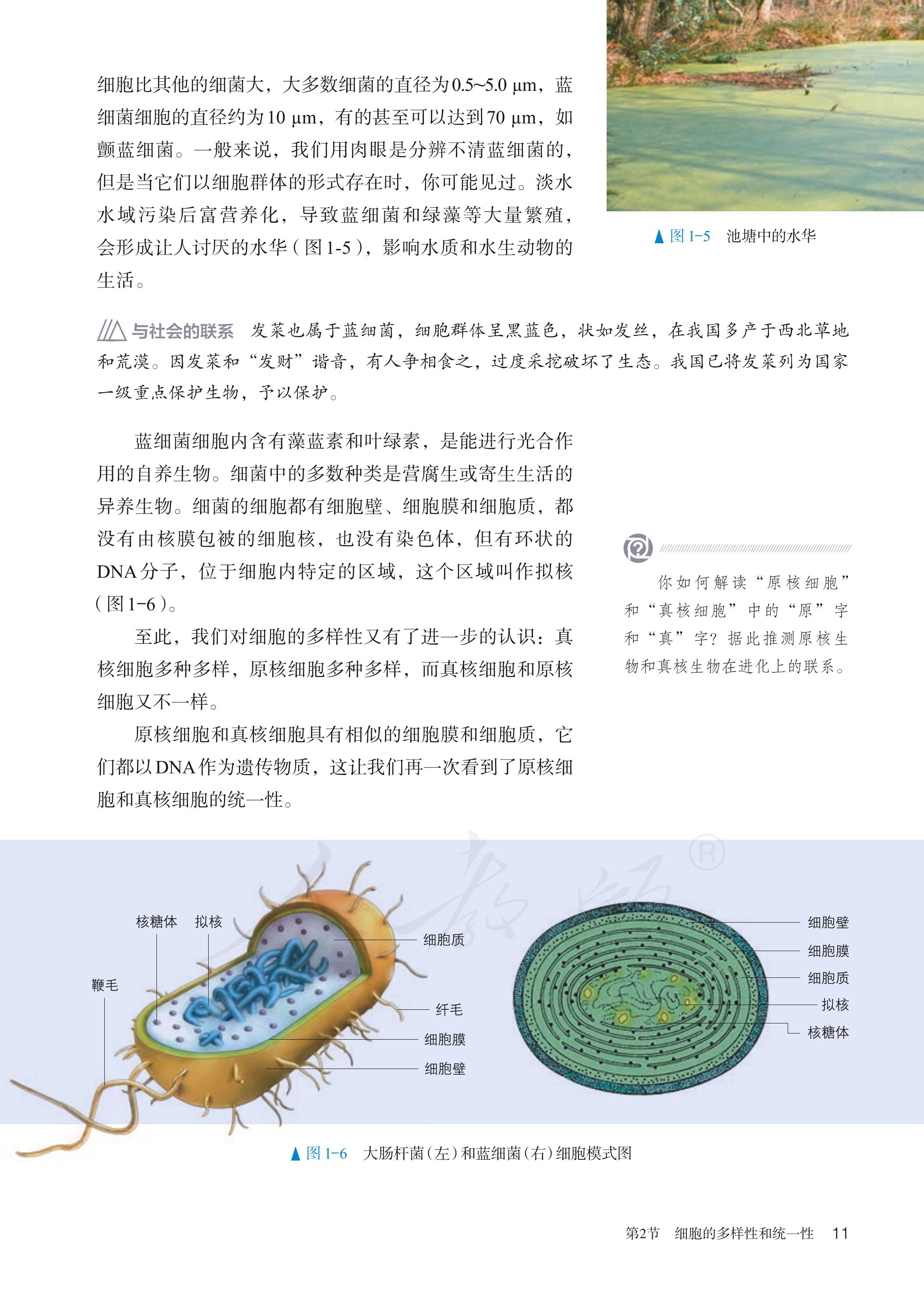 普通高中教科书·生物学必修1 分子与细胞（人教版）PDF高清文档下载