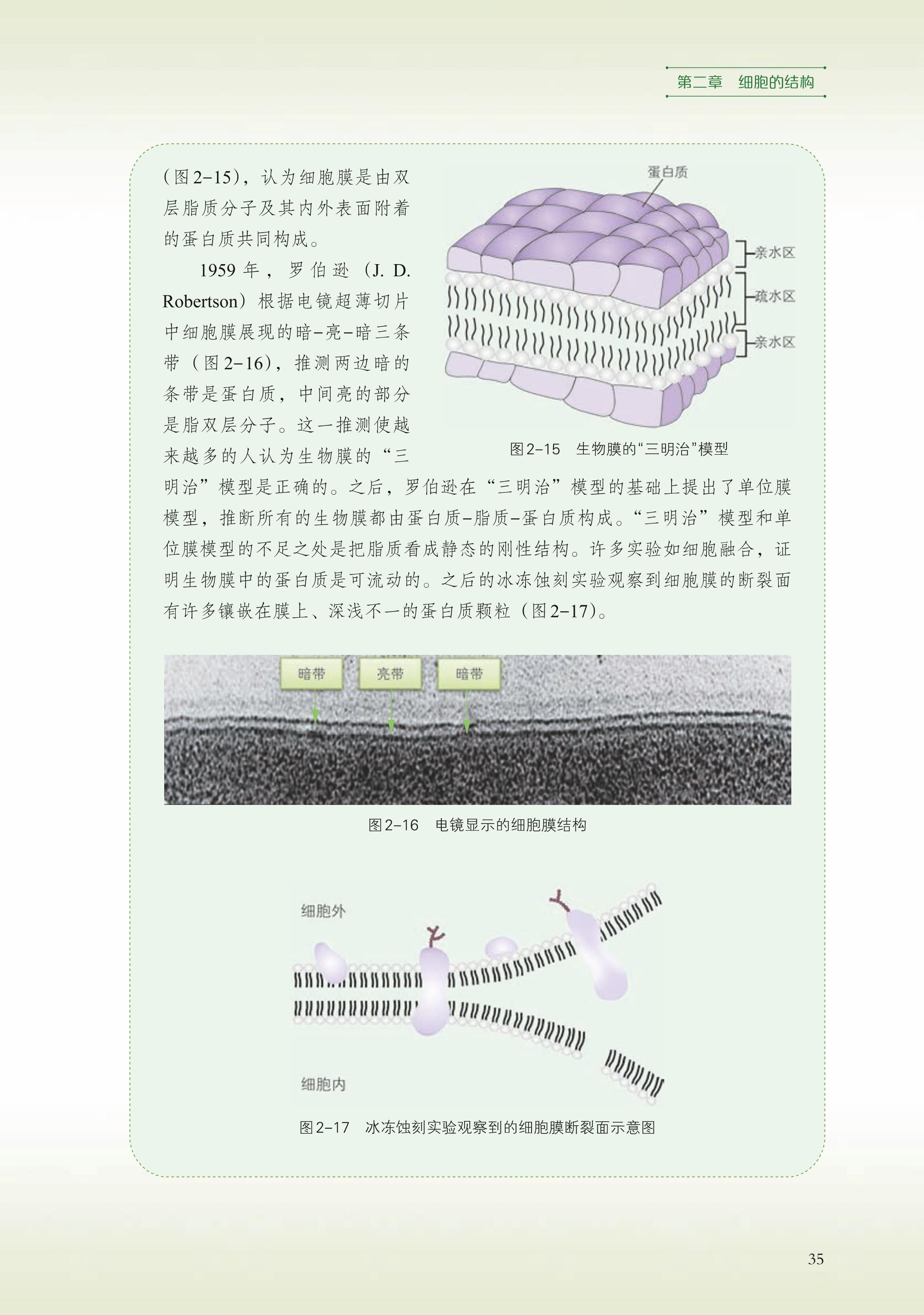 普通高中教科书·生物学必修1 分子与细胞（浙科版）PDF高清文档下载